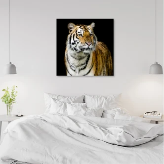 Tableau sur toile, Tigre Nature Sauvage 