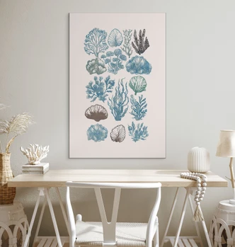 Wanddecoratie Filigraan algen en schelpen - casa cartissi - aluminium dibond 