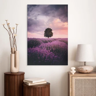 Wandbild Lila Lavendelfelder bei Sonnenuntergang - Cevik - Alu-Dibond 
