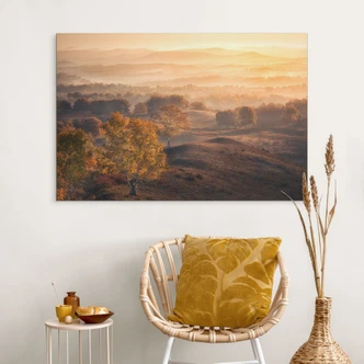 Wanddecoratie Berkenbomen in de gouden morgendauw - Cui - Alu-Dibond 