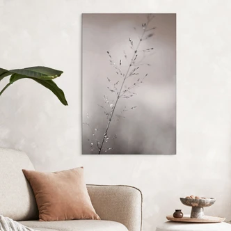 Wanddecoratie grasspriet met dauwdruppels - Sillen - Alu-Dibond 