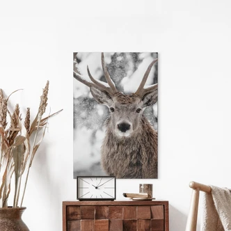 Tableaux cerfs dans la neige - Strigel - Alu-Dibond 
