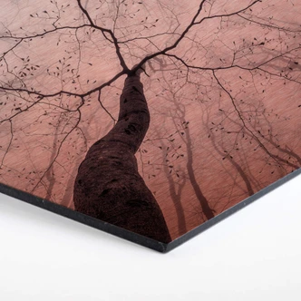 Hexagon alu-dibond koper-effect Pavlasek - Hoog in de bomen 