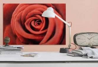 Red Rose – Alu-dibond Koper Red Rose – Alu-dibond Koper