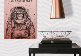 Alu-Dibond Kopereffect – To boldly go… Alu-Dibond Kopereffect – To boldly go…