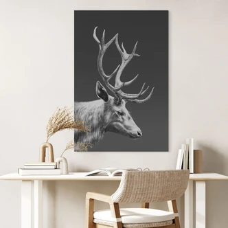 Aluminium dibond met zilvereffect Hert met gewei zwart en wit - Roberg Aluminium dibond met zilvereffect Hert met gewei zwart en wit - Roberg