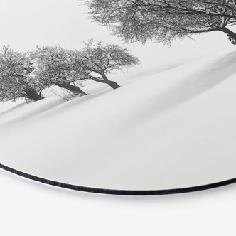 Wandcirkel Carrillo Lopez - White World 