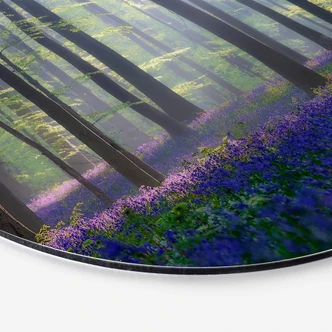 Wandcirkel Popan - Hyacinthen 