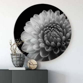 Wandcirkel Alu-Dibond Grønkjær - Dahlia 