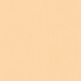 Architects Paper Floral Impression - Papier peint intissé uni, orange 