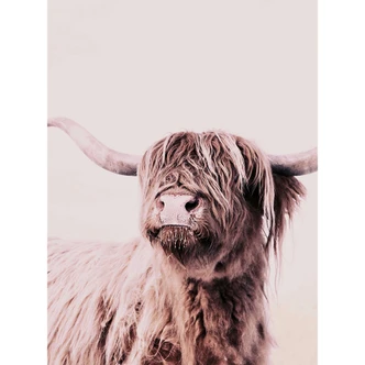 Livingwalls Fototapete ARTist Highland Cattle mit Hochland Rind braun, creme 
