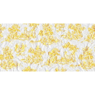 Architects Paper Papier peint photo Atelier 47 Paper Picnic style peinture 