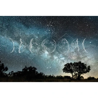 Architects Paper Fotomurale - Atelier 47 Fasi lunari 