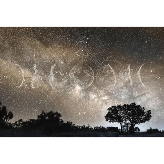 Architects Paper Fotomurale - Atelier 47 Fasi lunari 