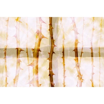 Fototapete Atelier 47 Thorn Art Natur - Architects Paper  