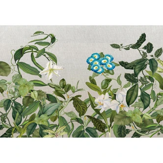 Architects Paper Fotomurale - Atelier 47 Botanica 