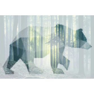 Fototapete Atelier 47 Bear Forest Tiere - Architects Paper 