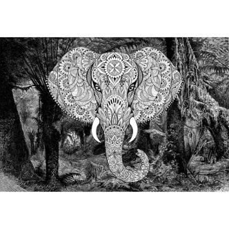 Fototapete Atelier 47 Elephant Head Tiere - Architects Paper 