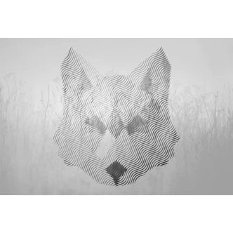 Fototapete Atelier 47 Fox Graphic Tiere - Architects Paper 