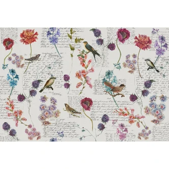 Fototapete Atelier 47 Bird Poetry Tiere - Architects Paper  