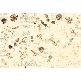 Fototapete Atelier 47 Bird Poetry Tiere - Architects Paper  