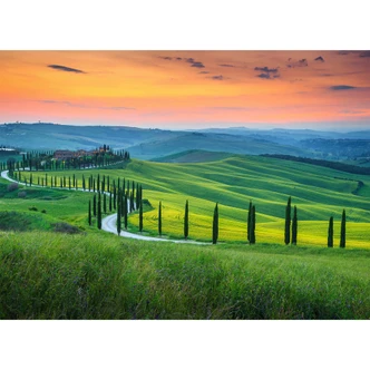 green and orange non-woven wallpaper Designwalls Tuscany Tuscany landscape green and orange non-woven wallpaper Designwalls Tuscany Tuscany landscape