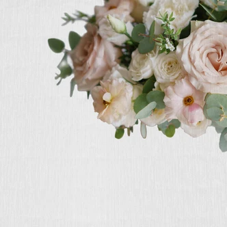 WhiteRoses flower wallpaper in grey cream - non-woven wallpaper Designwalls 2 - 2.55 x 3.5 m 