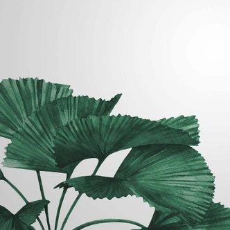 Fototapete Pflanzen TropicalLeaves in grau grün - Vliestapete Designwalls 2 - 2,55 x 3,5 m 