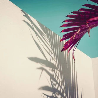 PurplePalm palm tree wallpaper in cream turquoise - non-woven wallpaper Designwalls 2 - 2,55 x 3,5 m 