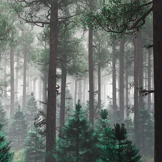 Trees In Fog bosbehang in grijsgroen - vliesbehang Designwalls 2 - 2,55 x 3,5 m 