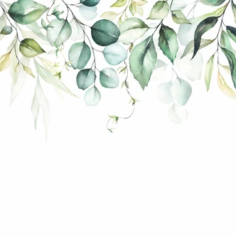 Watercolour Leaves plant wallpaper in white green - non-woven wallpaper Designwalls 2 - 2.55 x 3.5 m 