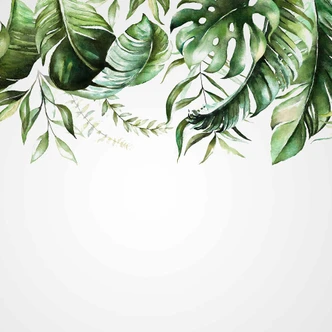 WatercolorLea1 plant wallpaper in grey green - non-woven wallpaper Designwalls 2 - 2.55 x 3.5 m 