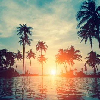 Sunset&Palms palm trees wallpaper in turquoise black - non-woven wallpaper Designwalls 2 - 2.55 x 3.5 m Sunset&Palms palm trees wallpaper in turquoise black - non-woven wallpaper Designwalls 2 - 2.55 x 3.5 m