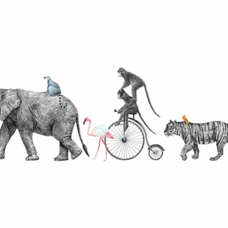 AnimalQueue in white grey - non-woven wallpaper Designwalls 2 - 2.55 x 3.5 m 