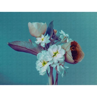 Livingwalls Blumentapete Metropolitan Stories THE WALL Vliestapete floral blau, lila Livingwalls Blumentapete Metropolitan Stories THE WALL Vliestapete floral blau, lila