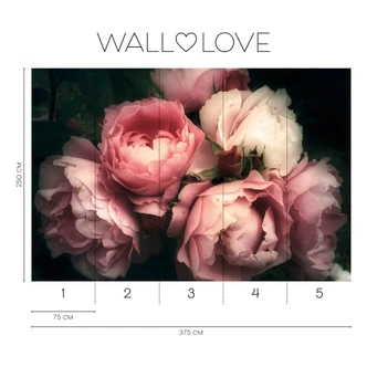 Fototapet pink hvid mørk - Ikke-vævet tapet 3,75 m x 2,50 m blomstermotiv 