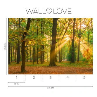 Fototapet med solstrålar grönbrun - Icke-vävd tapet 3,75 m x 2,50 m naturmotiv Fototapet med solstrålar grönbrun - Icke-vävd tapet 3,75 m x 2,50 m naturmotiv