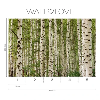 Fototapet naturgrön vit - Icke-vävd tapet 3,75 m x 2,50 m skogsmotiv Fototapet naturgrön vit - Icke-vävd tapet 3,75 m x 2,50 m skogsmotiv