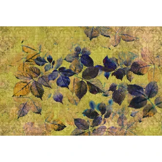 Livingwalls Fototapete Walls by Patel 2 indian summer 1 