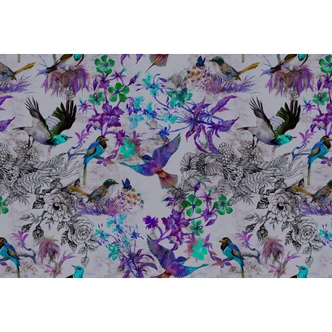 Livingwalls Photo Wallpaper Walls by Patel funky birds 2 