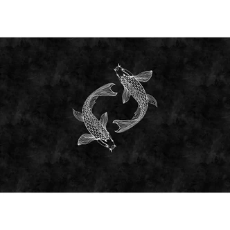 Livingwalls Fototapet Walls by Patel Blackboard 5 