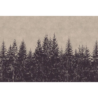 Livingwalls Photo Wallpaper Walls by Patel black forest 1 