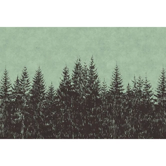 Livingwalls Fotobehang Walls by Patel black forest 2 