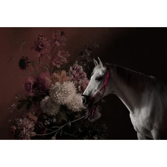 Livingwalls Photo Wallpaper Walls by Patel horses 1 
