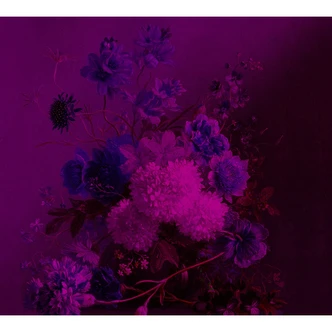 Livingwalls Photo Wallpaper Walls by Patel bouquet vibrant 3 