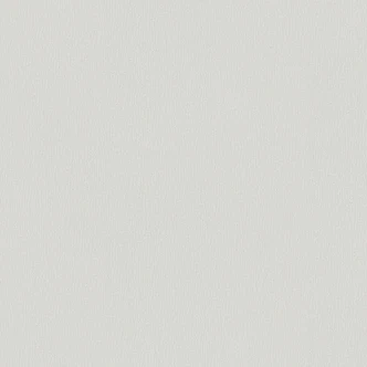 A.S. Création Trendwall 2 - Papier peint intissé uni, gris 