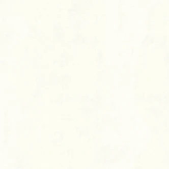 A.S. Création Vliesbehang Used Look  