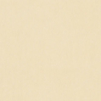 A.S. Création Unitapete Dream Flowery Vliestapete einfarbig beige 