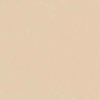 A.S. Création Unitapete Dream Flowery Vliestapete einfarbig beige 