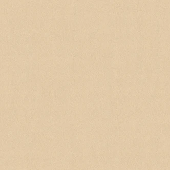 A.S. Création Scandinavian 2 Papier peint uni - Beige 